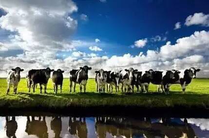 恒天然公司发布2017/18季首次农场牛奶收购价格